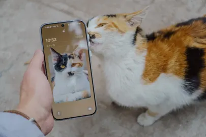 BetCart Casino App Mobile